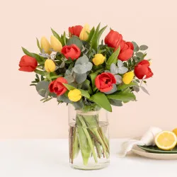 Wielokolorowe tulipany