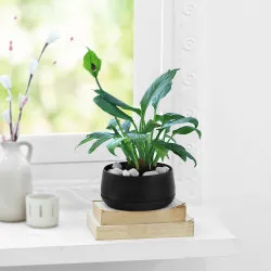 Peaceful Greens