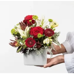 Christmas Arrangement