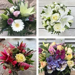 Arrangement Of Cut Flowers
