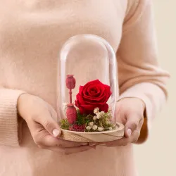 Wieczna miłość - Amour eternel