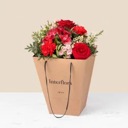 Declaration and free gift bag