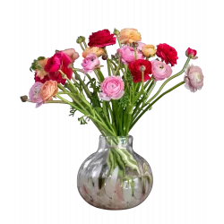 Jaskry mix kolorów 240174