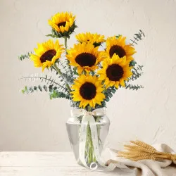 Edycja Sunflower