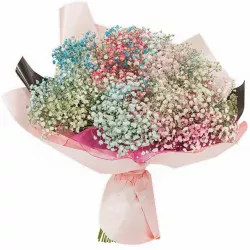 Bouquet of colored gypsophila