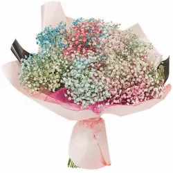 Bukiet kolorowej gipsówki