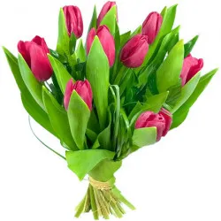 9 tulips bouquet