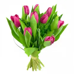 Pink tulips bouquet