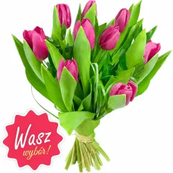 Bukiet różowych tulipanów