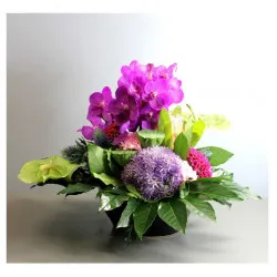 Aranżacja różowych ciętych kwiatów