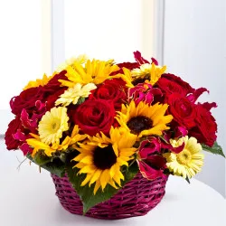 Arrangement in a basket