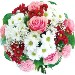 Dream flowers