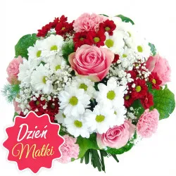 Dream flowers