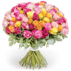 Colorful roses 9-100 pcs.