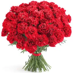 Czerwone goździki 11-100 szt.