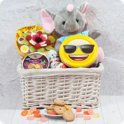 Basket for a cheerful boy