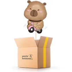 Capybara on a bicycle - helium balloon