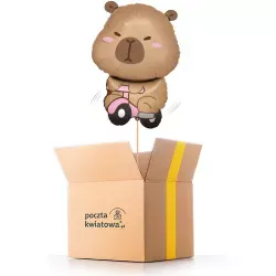 Kapibara na rowerku - balon z helem