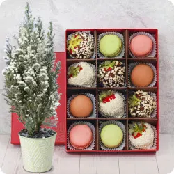 Strawberries with macaroons and cypress