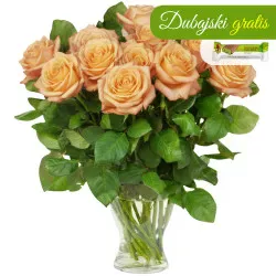 12 herbacianych róż