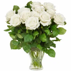 12 white roses