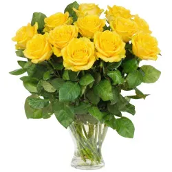 12 yellow roses