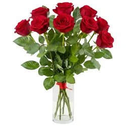 9 red roses