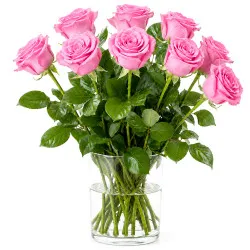 9 pink roses