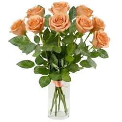 9 herbacianych róż