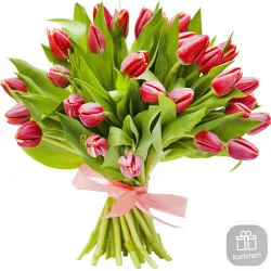 21 red tulips 