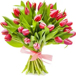 21 red tulips 