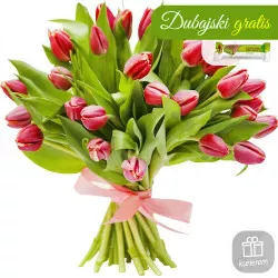 21 czerwonych tulipanów