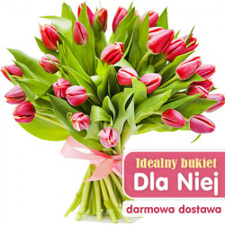 21 czerwonych tulipanów