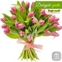 21 różowych tulipanów