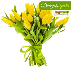 21 żółtych tulipanów
