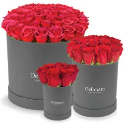 Red roses in a gray box