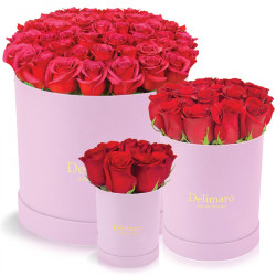 Czerwone róże w różowym pudełku