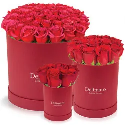 Red roses in a crimson box
