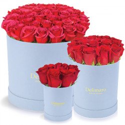 Czerwone róże w błękitnym pudełku
