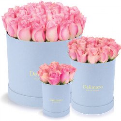 Różowe róże w błękitnym pudełku
