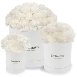 White carnations in a white box