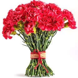 21 red carnations