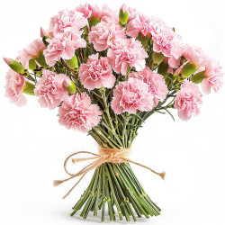 21 pink carnations