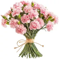 21 pink carnations