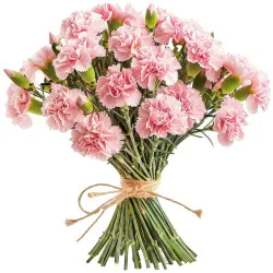 21 pink carnations