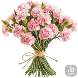 21 pink carnations