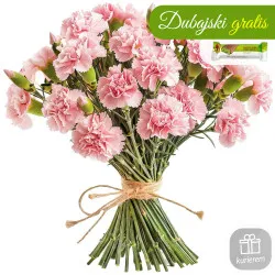 21 różowych goździków 