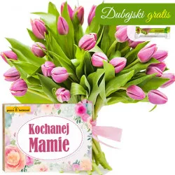 Tulipany dla Mamy