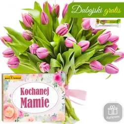 Tulipany dla Mamy