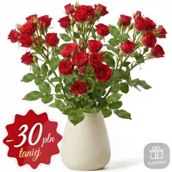 Love roses